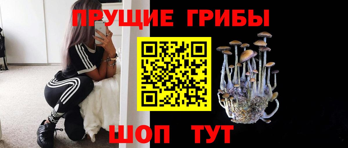 Аргун  Галлюциногенные грибы Cubensis  Вход с VPN 