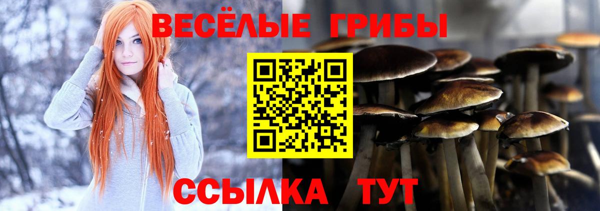 Галлюциногенные грибы мицелий Аргун